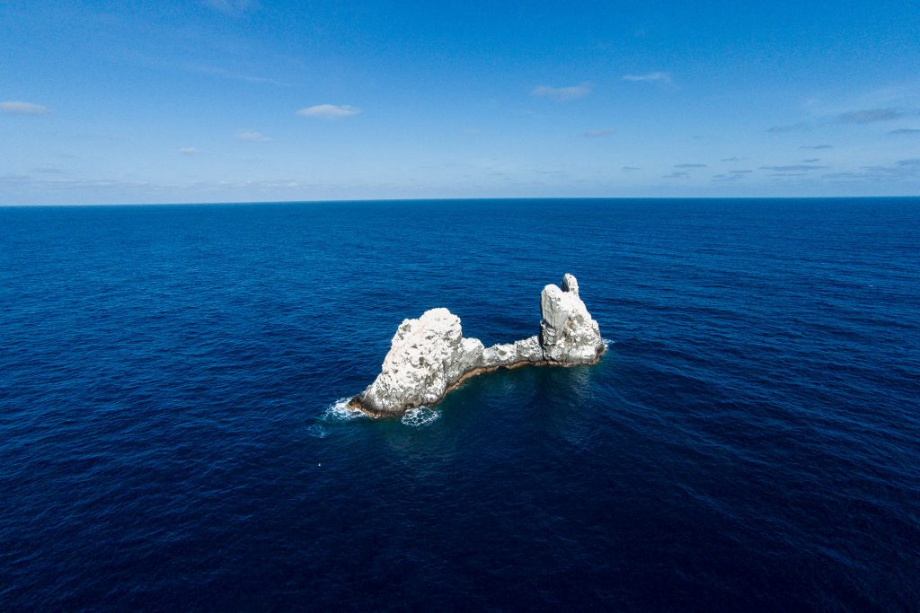 roca partida2