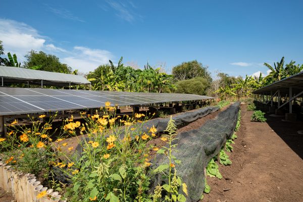 Savu South Alor Green Energy