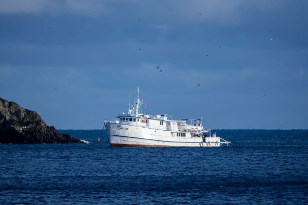 Seahunter – Bild 19