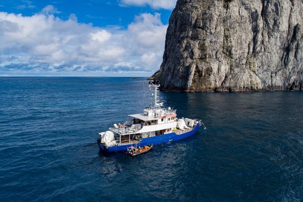 Ferox in Malpelo