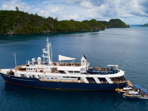 Tauchsafaris Palau