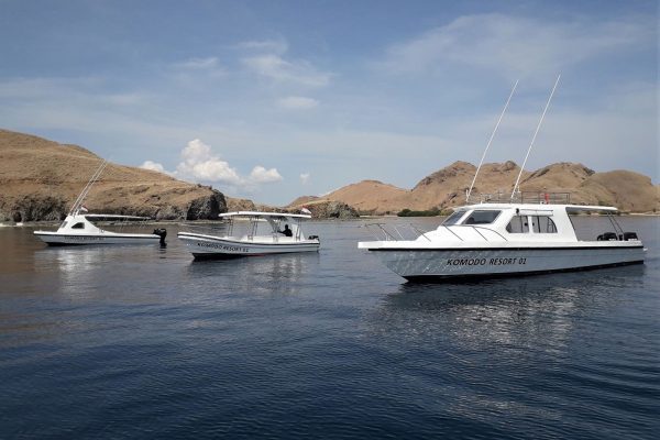Komodo Resort – Bild 23