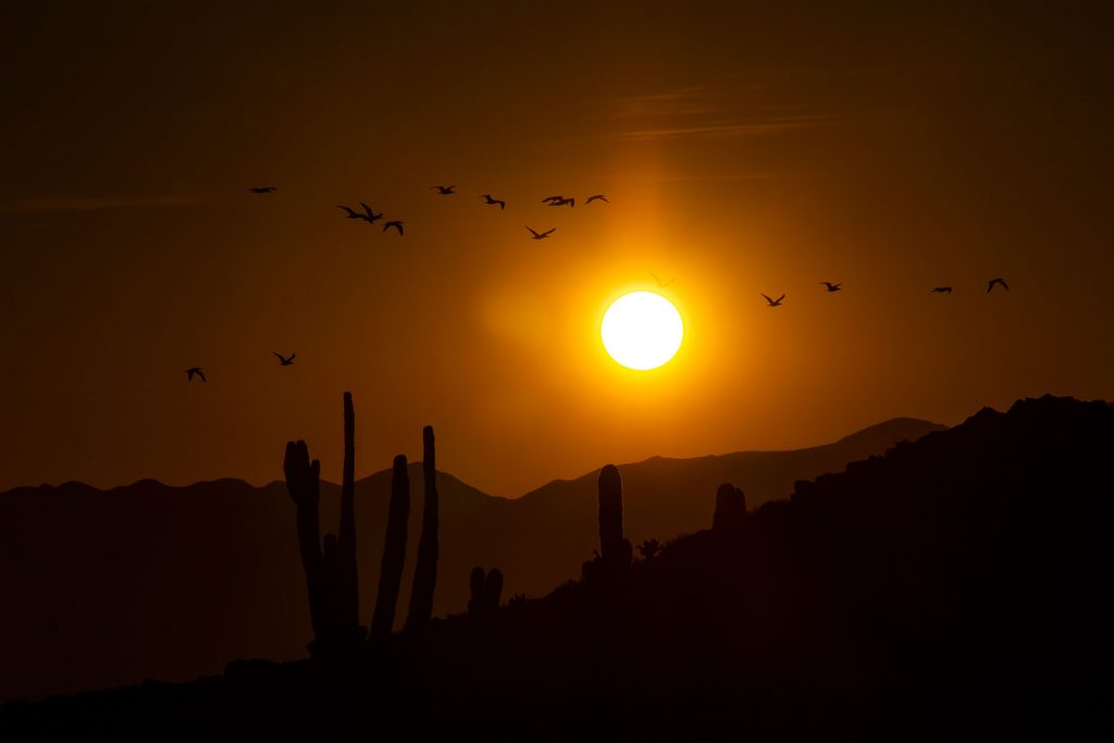 Baja Sunset View