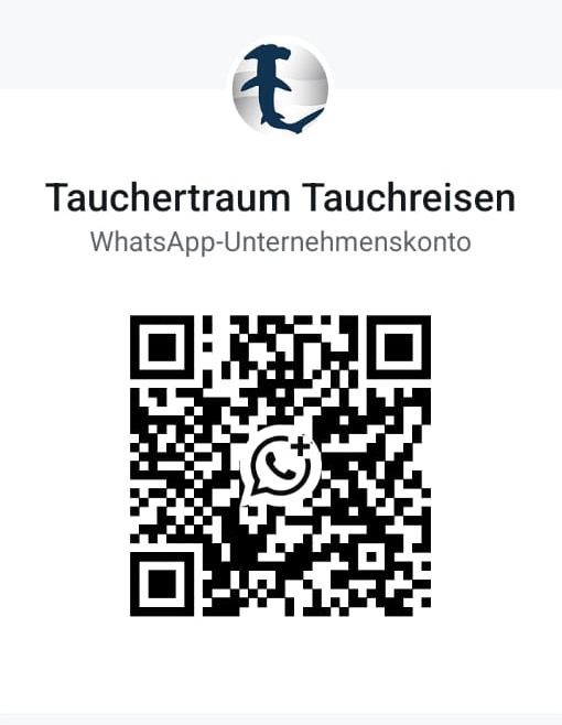 tauchertraum buisness whats