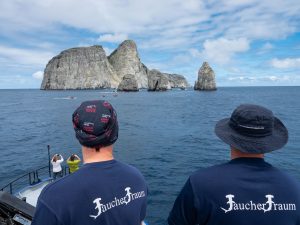 Tauchsafaris Malpelo