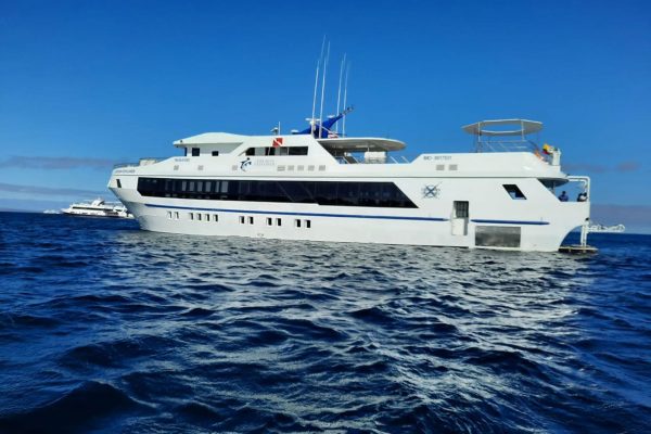 Tiburon Explorer – Bild 14