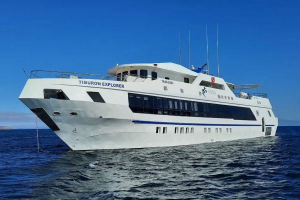 Tiburon Explorer