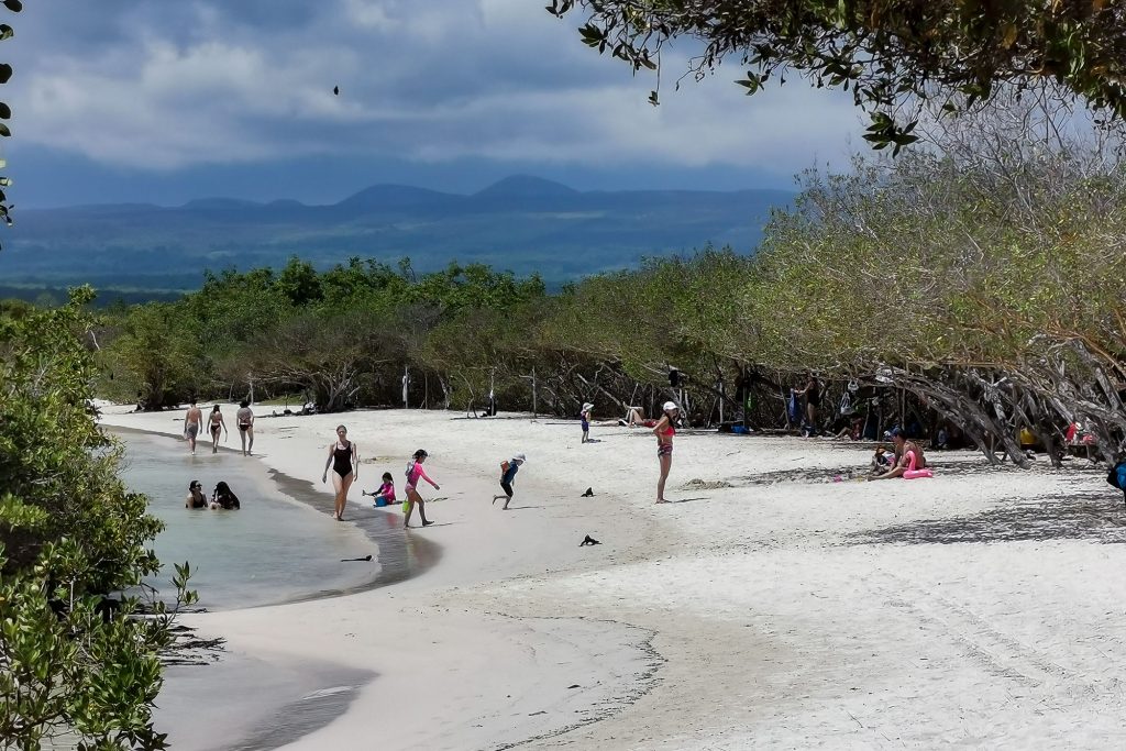 Tortugabay Bay inside