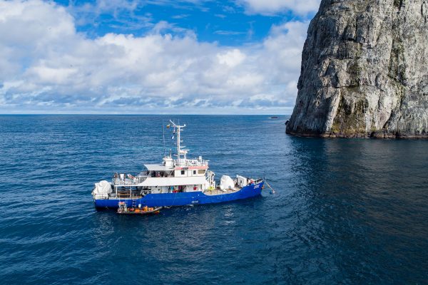 Ferox Malpelo Tauchsafari Schiff